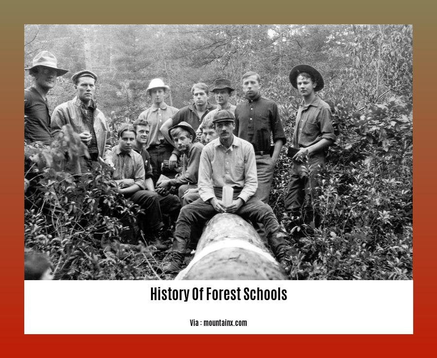 history of forest schools
