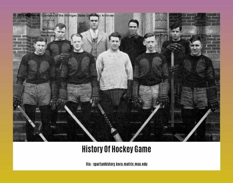 The History of Hockey Game A Saga of Triumph, Rivalry, and Evolution