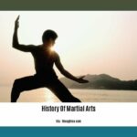 history-of-martial-arts_2
