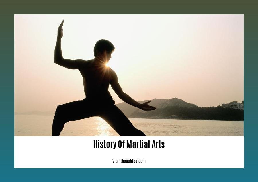 history of martial arts 2