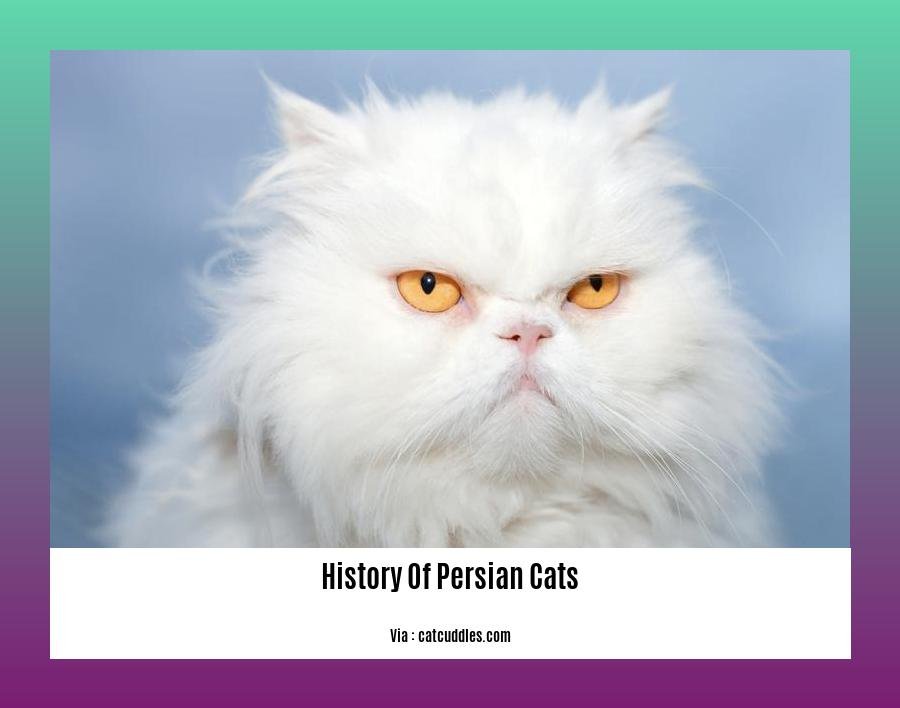 history of persian cats