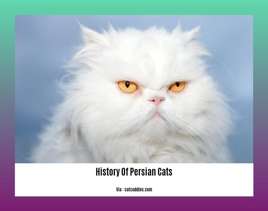 history of persian cats