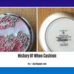 history-of-whoo-cushion_2