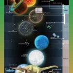 interactive-timeline-of-world-history_2