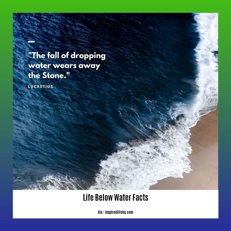 life below water facts
