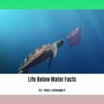 life-below-water-facts_2