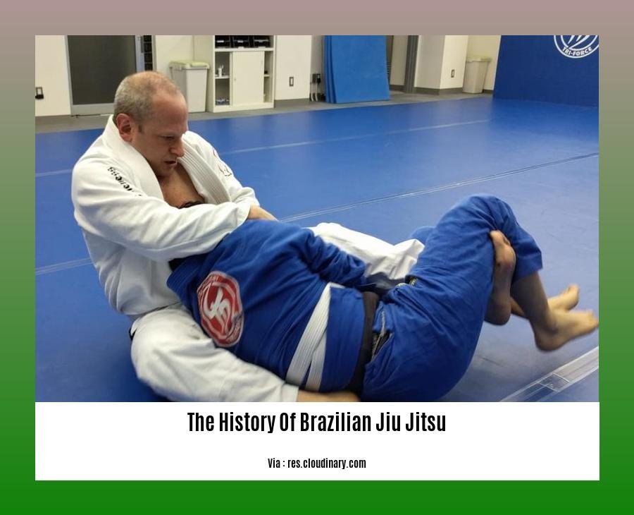 the history of brazilian jiu jitsu