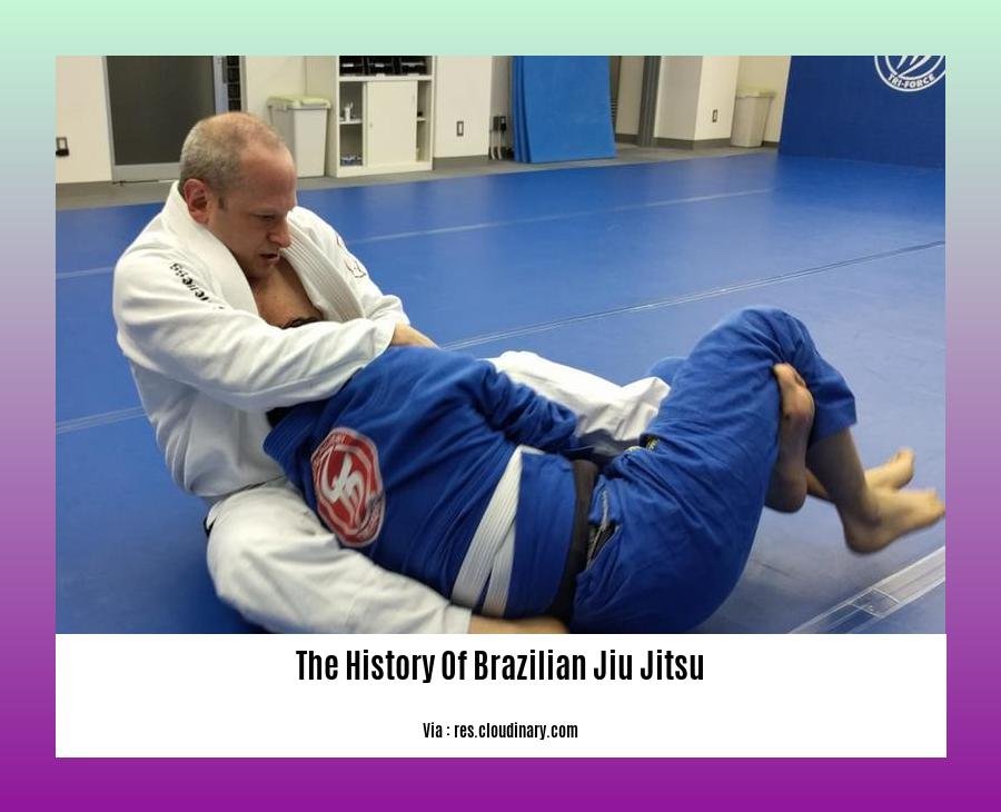 the history of brazilian jiu jitsu