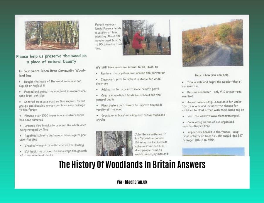 the history of woodlands in britain answers