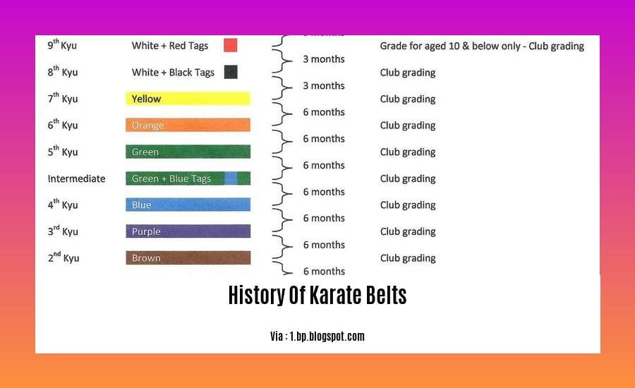 History Of Karate Belts