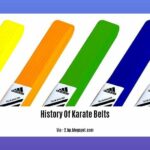 History-Of-Karate-Belts_2