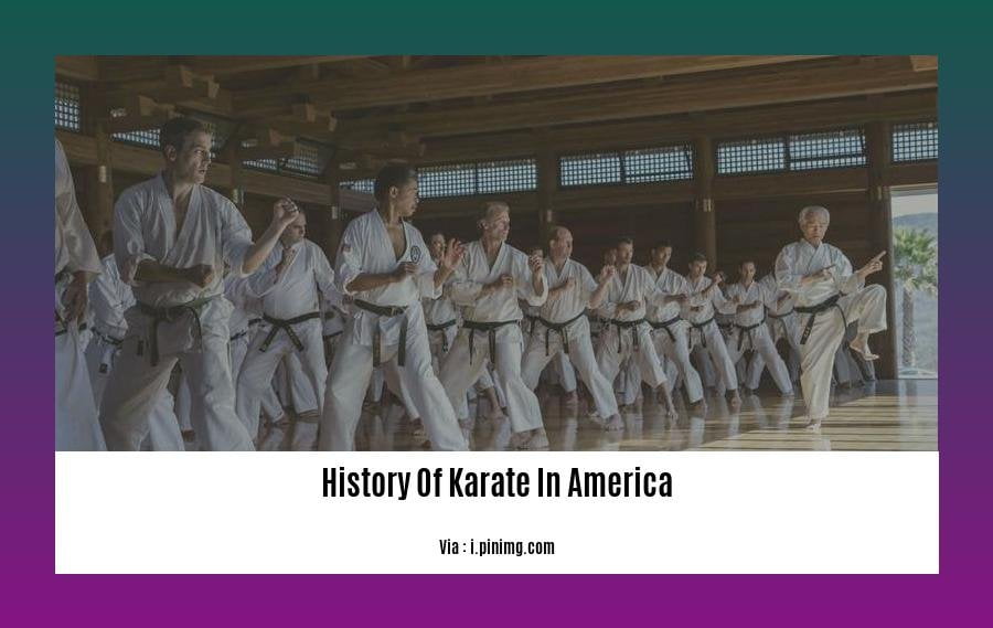 History Of Karate In America
