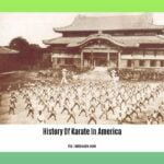History-Of-Karate-In-America_2