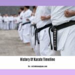 History-Of-Karate-Timeline_2