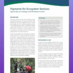 History-Of-Payment-For-Ecosystem-Services_2