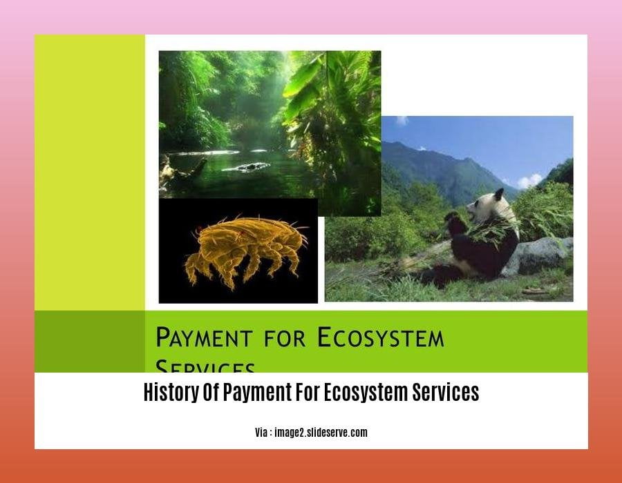 History Of Payment For Ecosystem Services
