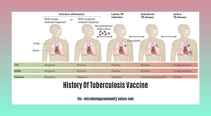 History Of Tuberculosis Vaccine