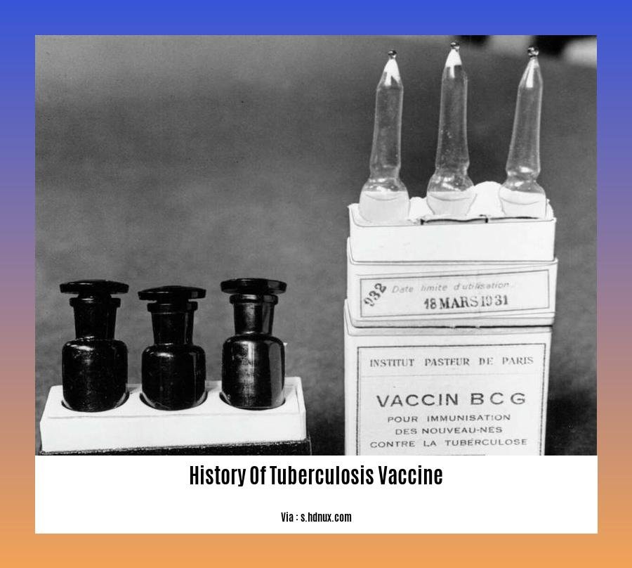 History Of Tuberculosis Vaccine 2