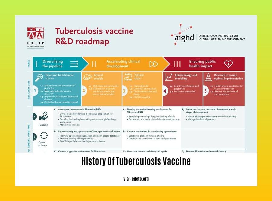History Of Tuberculosis Vaccine