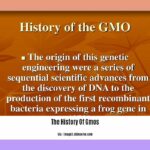The-History-Of-Gmos_2
