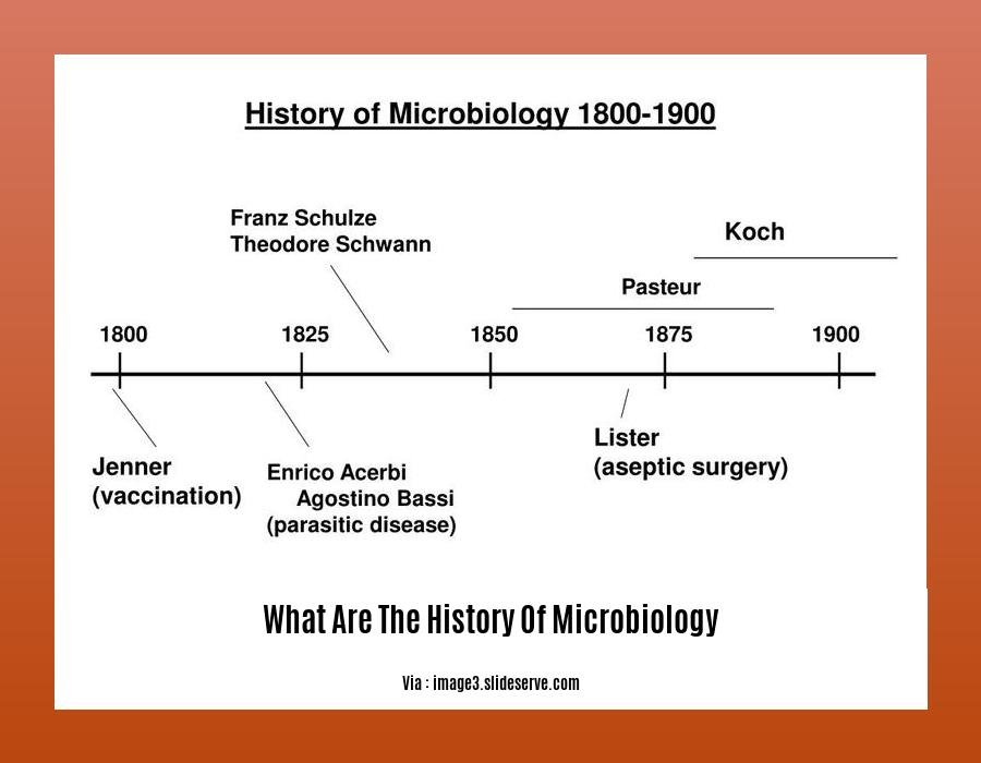 What Are The History Of Microbiology 2