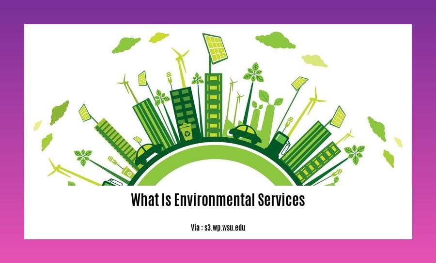What Is Environmental Services