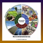 What-Is-Environmental-Services_2