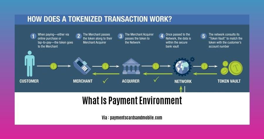 What Is Payment Environment