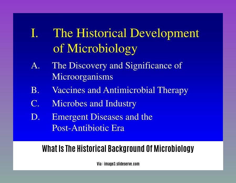 What Is The Historical Background Of Microbiology