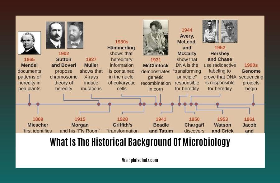What Is The Historical Background Of Microbiology 2