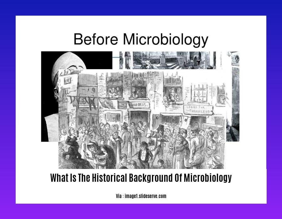 What Is The Historical Background Of Microbiology