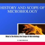 What-Is-The-History-And-Scope-Of-Microbiology_2