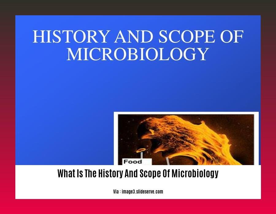 What Is The History And Scope Of Microbiology 2