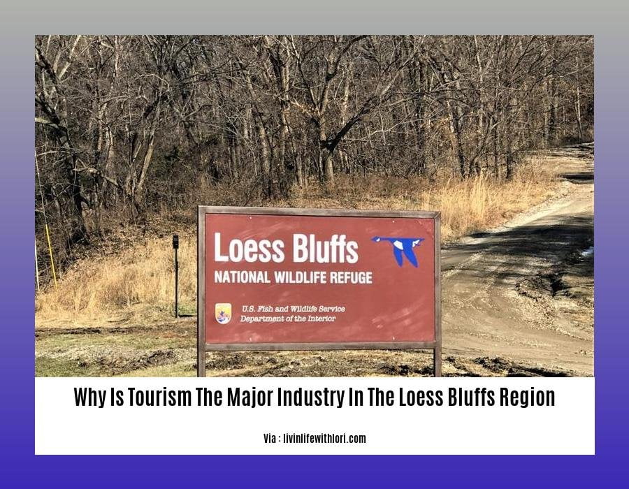 Why Is Tourism The Major Industry In The Loess Bluffs Region
