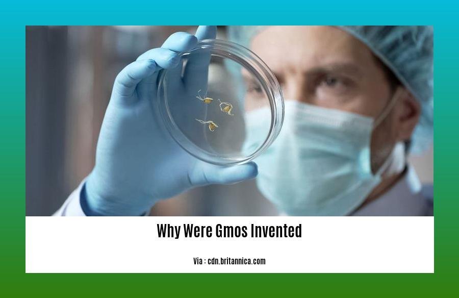 Why Were Gmos Invented
