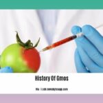 history-of-gmos_2