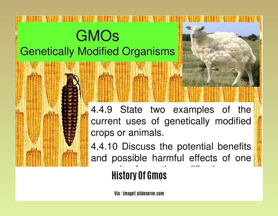 history of gmos