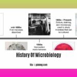 history-of-microbiology_2