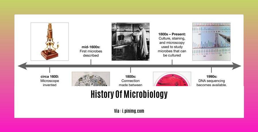 history of microbiology 2