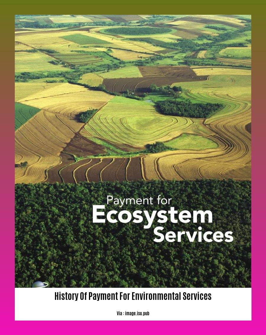 history of payment for environmental services