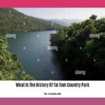 what-is-the-history-of-tai-tam-country-park_2