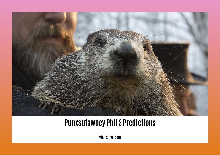Punxsutawney Phil s predictions