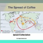Spread-of-coffee-culture_2