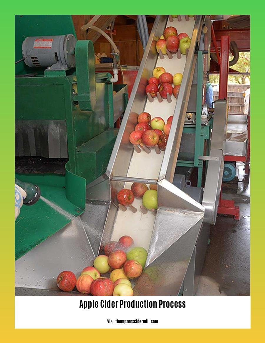 apple cider production process
