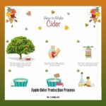 apple-cider-production-process_2