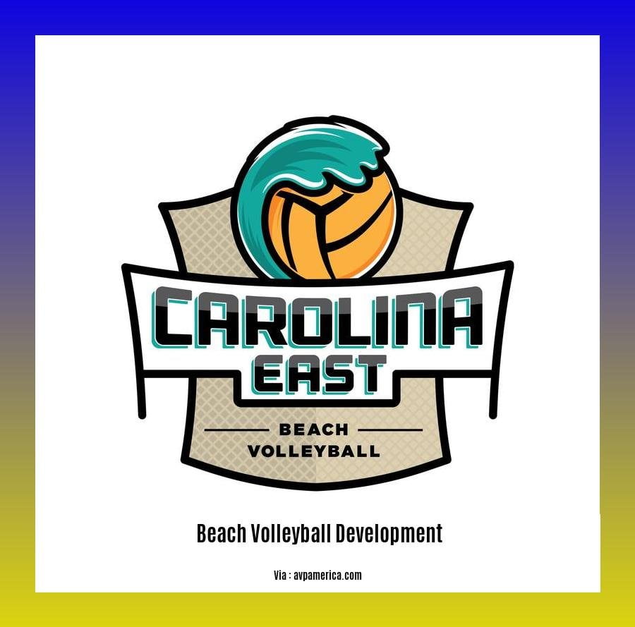  beach volleyball development