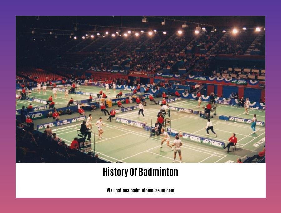history of badminton 2
