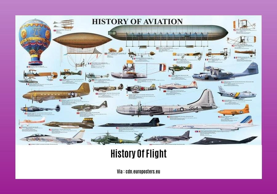 history of flight