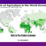 role-in-the-global-economy_2