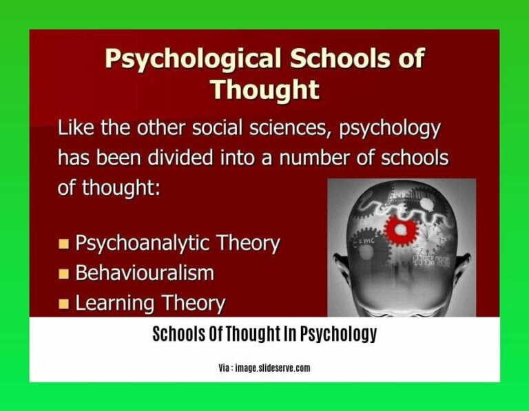 Major Theories in Psychology Shaping Our Understanding of Human Behavior